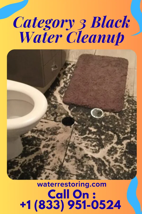 Category 3 Black Water Cleanup in Gloster, MS
