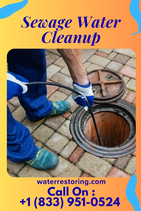 Sewage Water Cleanup in Gloster, MS